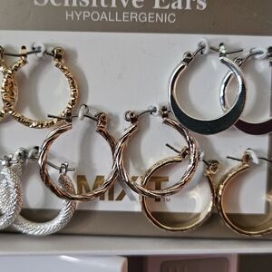 Gold and Silver Hoop Earrings Collection